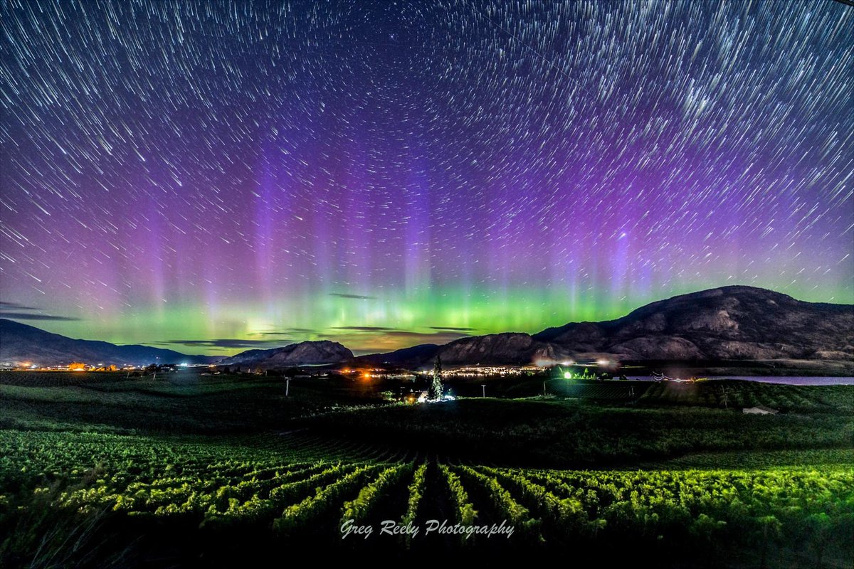 Something to take you mind off the local wildfires. Northern Lights Aurora star trails in Osoyoos, BC July 26, 2023.

 #Aurora #astrophotography #nightsky #stars #summer #okanagan #explorebc #globalbc #destinationosoyoos #art #landscape #startrails #nightskyphotography