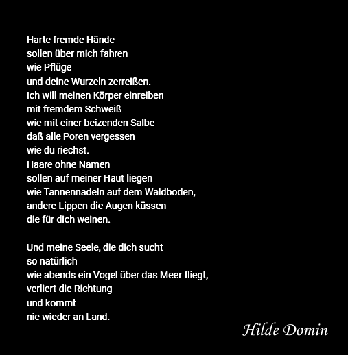 UrbanAnnalisa's tweet photo. Und die verlierbaren Lebenden 
und die unverlierbaren Toten 
dir das Brot brechen 
und den Wein reichen 
und du ihre Stimmen wieder hörst 
ganz nahe an deinem Herzen!
#hildedomin https://t.co/E0tKXhCsik