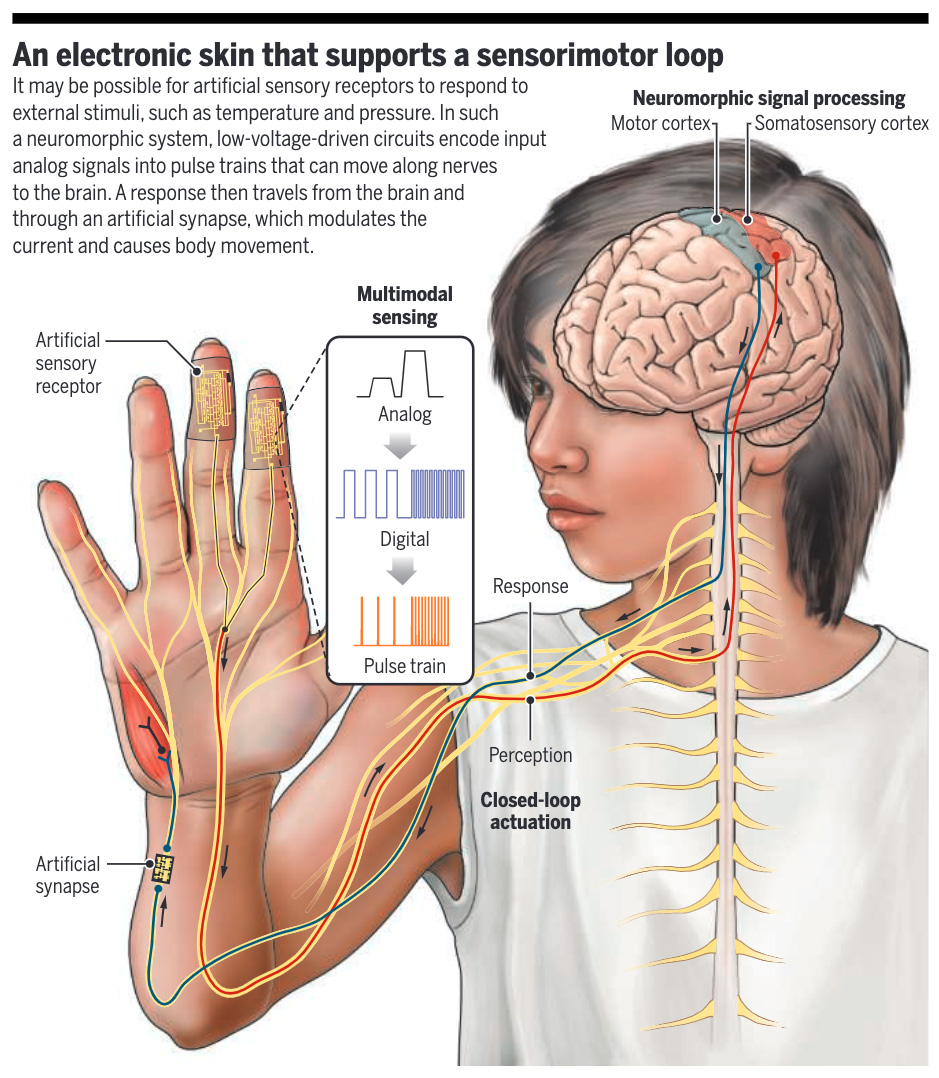 Science Magazine tweet media