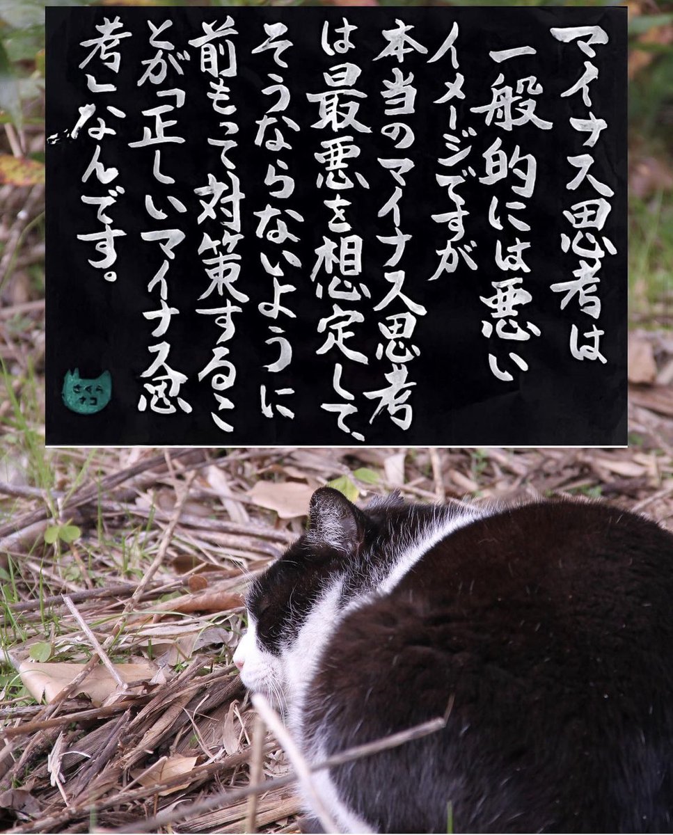 yabumoto610's tweet photo. ネコさんから人間さんへ今日のメッセージ https://t.co/JQvtpBWrjZ