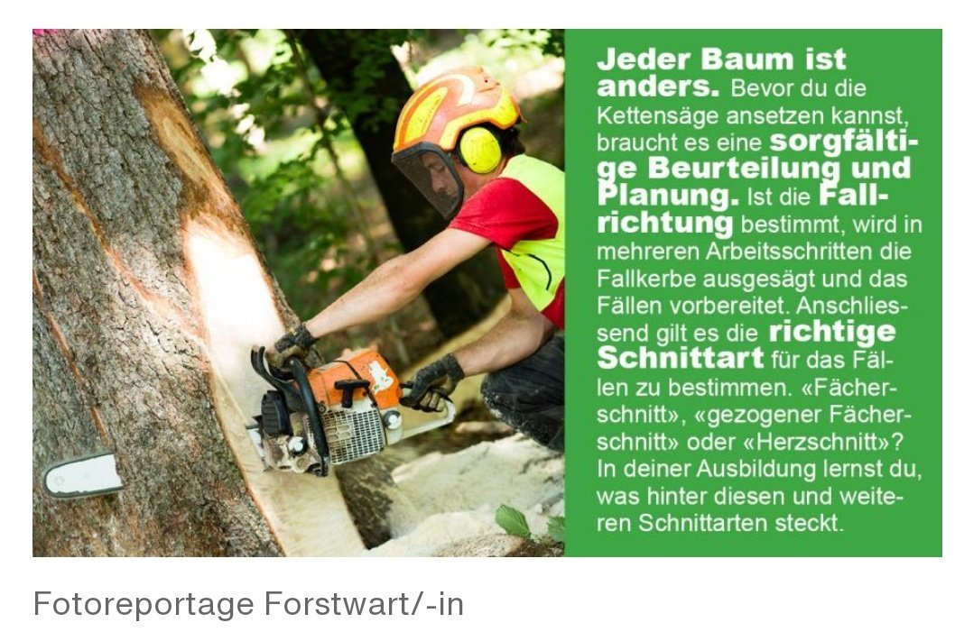 Die neuen Lehrstellen der Baudirektion des <a href="/KantonZuerich/">Kanton Zürich</a> sind online. Auch die ForstwartInnen-Stellen im #StaatswaldZH. Bewirb dich jetzt! live.solique.ch/KTZH/de/#/