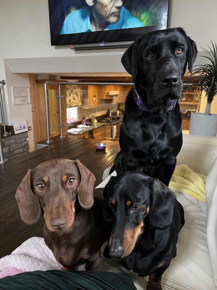 Simon jagger tweet media