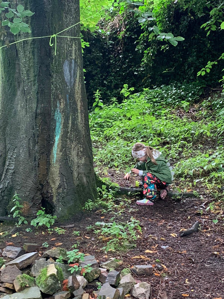 The Therapeutic Forest CIC tweet media