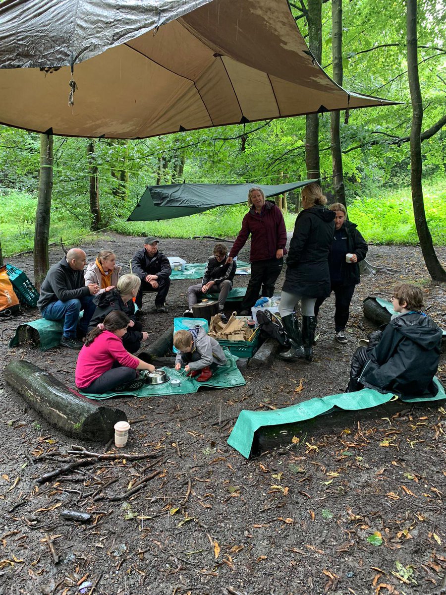 The Therapeutic Forest CIC tweet media