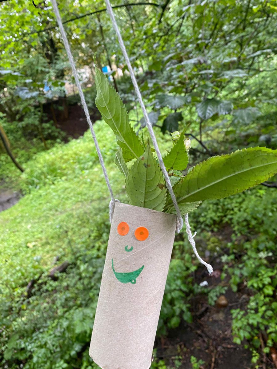 The Therapeutic Forest CIC tweet media