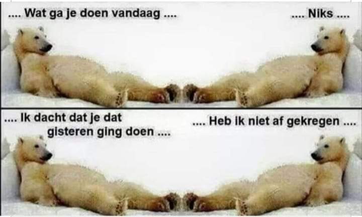 wendywwijk's tweet photo. @monsimzan Mijn 7e foto https://t.co/b0oFhmMRsV