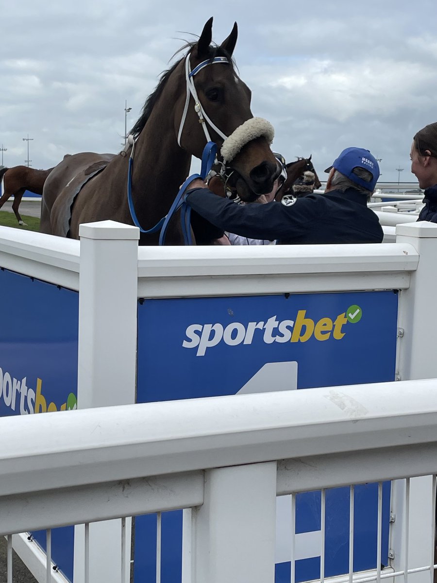 GaistJanet's tweet photo. A huge thanks from all the owners to the new training partnership of Peter Moody and Katherine Coleman with their win with Runsir kicking off the new season with Luke Nolan aboard .  Special congrats to Katherine on her first win as co trainer 🐎 thank you team Moody Coleman https://t.co/YM4ghgF0P3