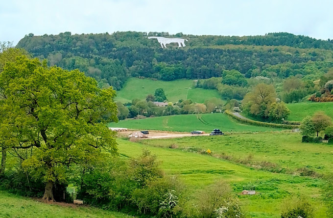 Anna Lupton tweet media