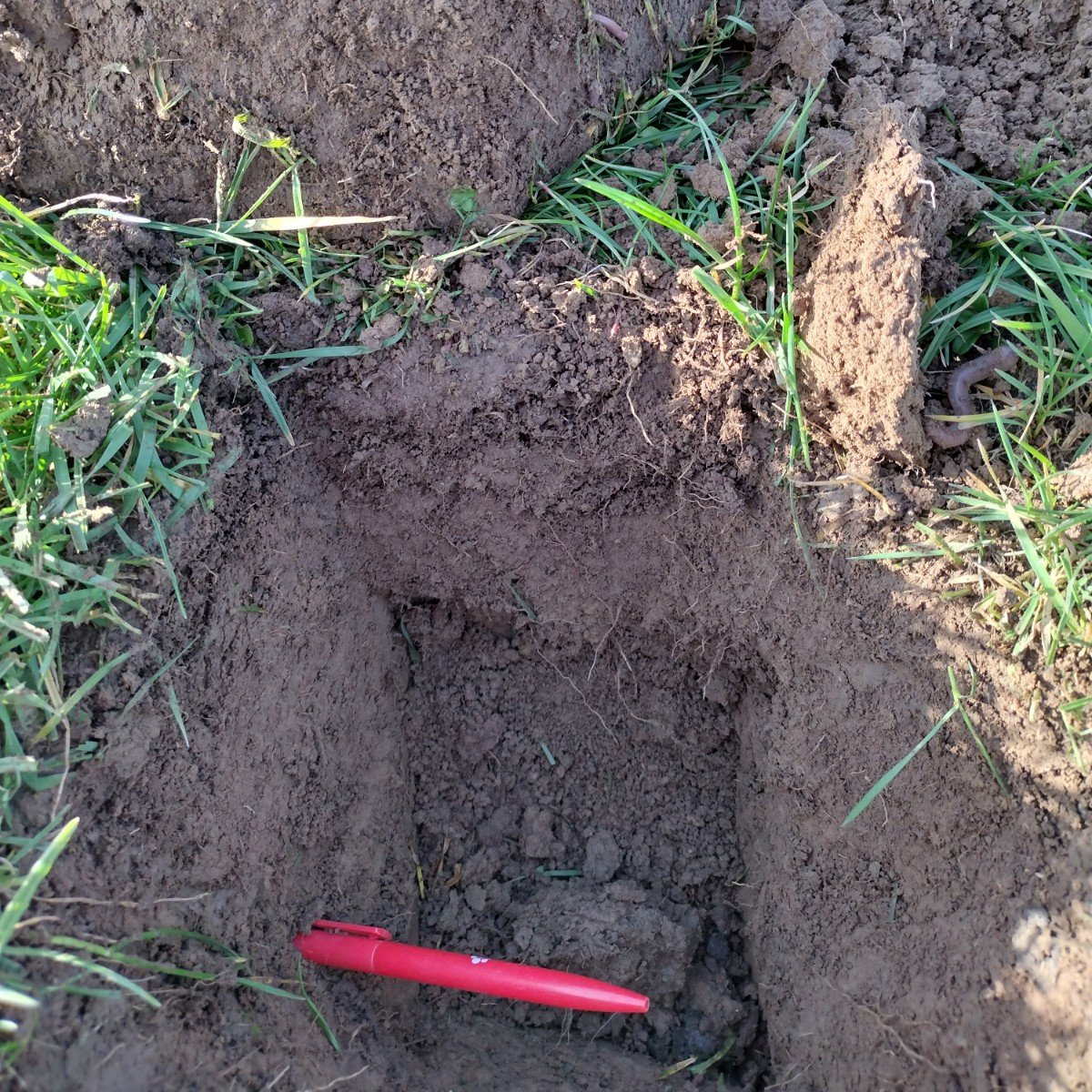 CreedyAssociate's tweet image. Discussions on farm this week about soil management and reducing compaction through mechanical and cropping choices.
If you'd like to find out more about soil management plans to fulfil the SFI payment do get in touch