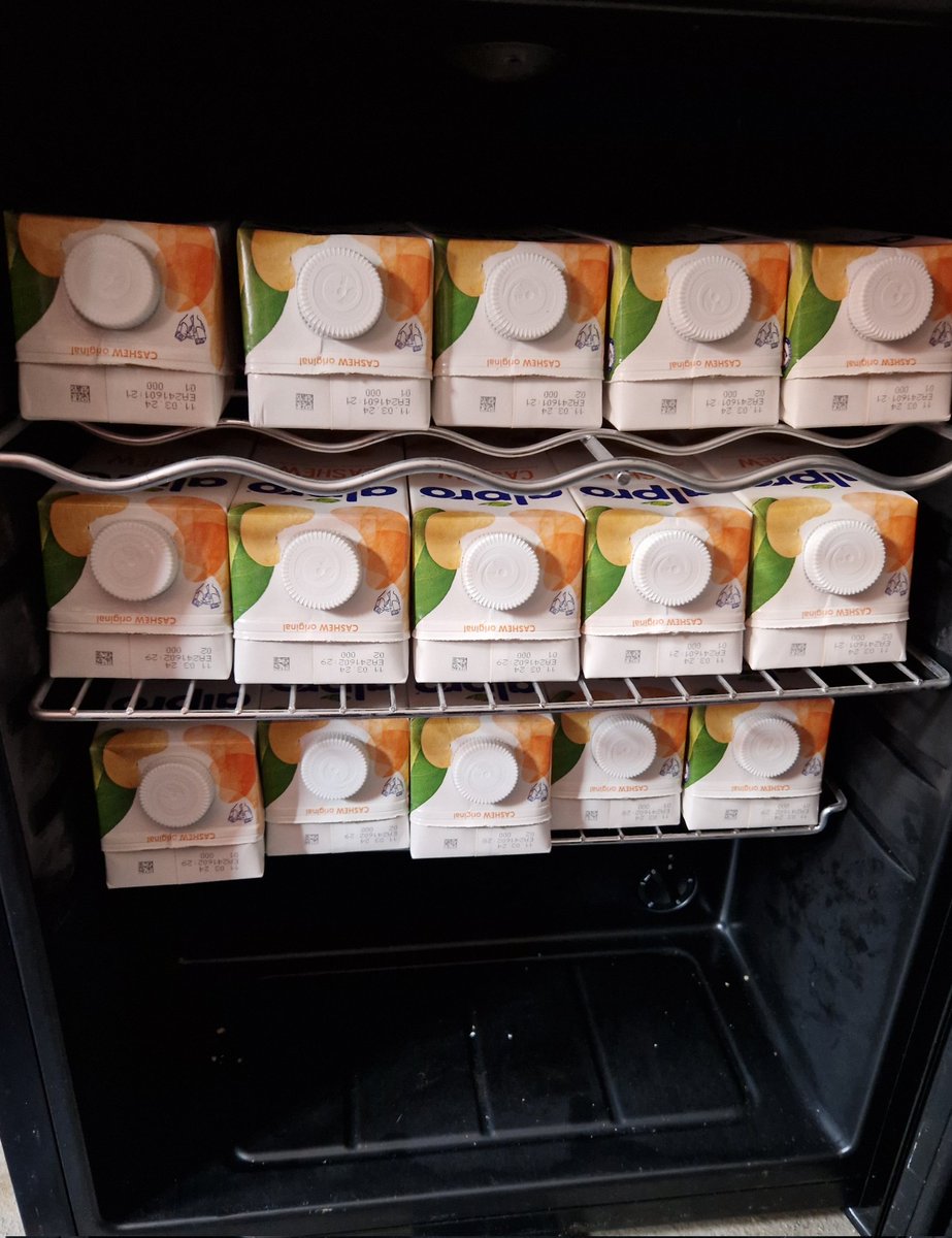 This was once a beer fridge, it is now a Cashew Milk fridge. This will forever be the most middle class thing about me.