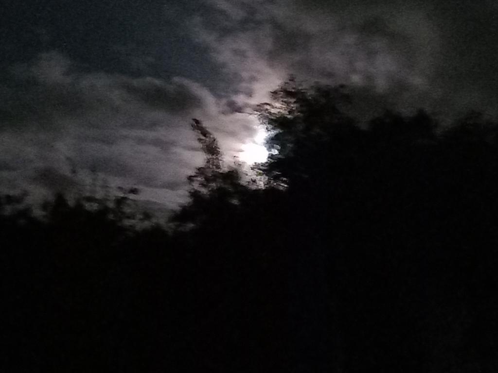 robcullen4's tweet photo. There be owls....#goodtobeout https://t.co/OWBktGG8VE