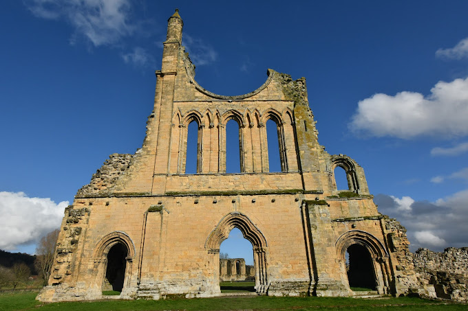 Anna Lupton tweet media