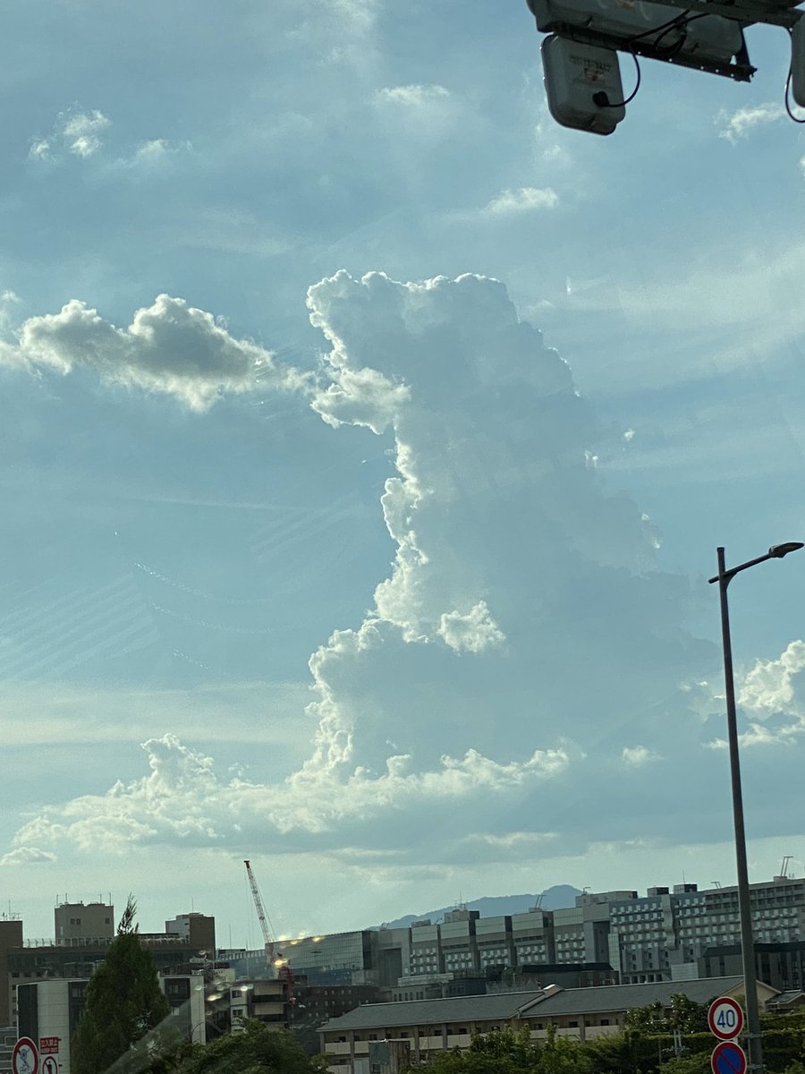 ryousei1113's tweet photo. 京都駅上空にGODZILLA出現！

#京都駅 #GODZILLA #ゴジラ
#夏空 #熱中症 https://t.co/gJQ9gbFavw