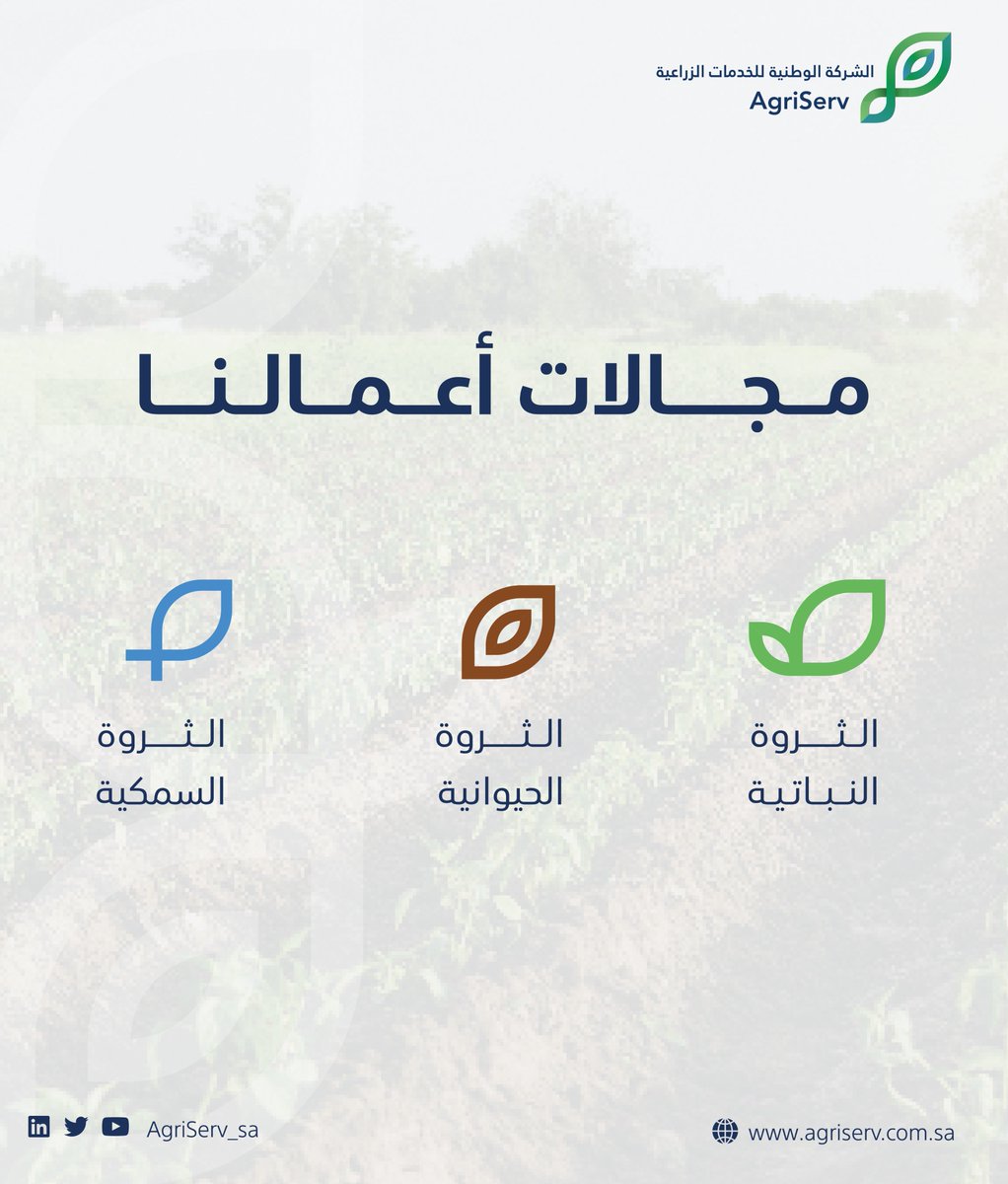 AgriServ_sa's tweet photo. تتنوع أعمال #الشركة_الوطنية_للخدمات_الزراعية لتغطي قطاعات الثروة النباتية والحيوانية والسمكية. https://t.co/fd4NlEx9wf
