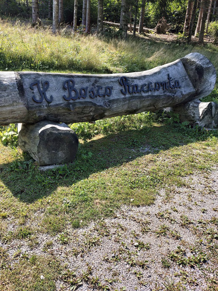 Regione FVG tweet media