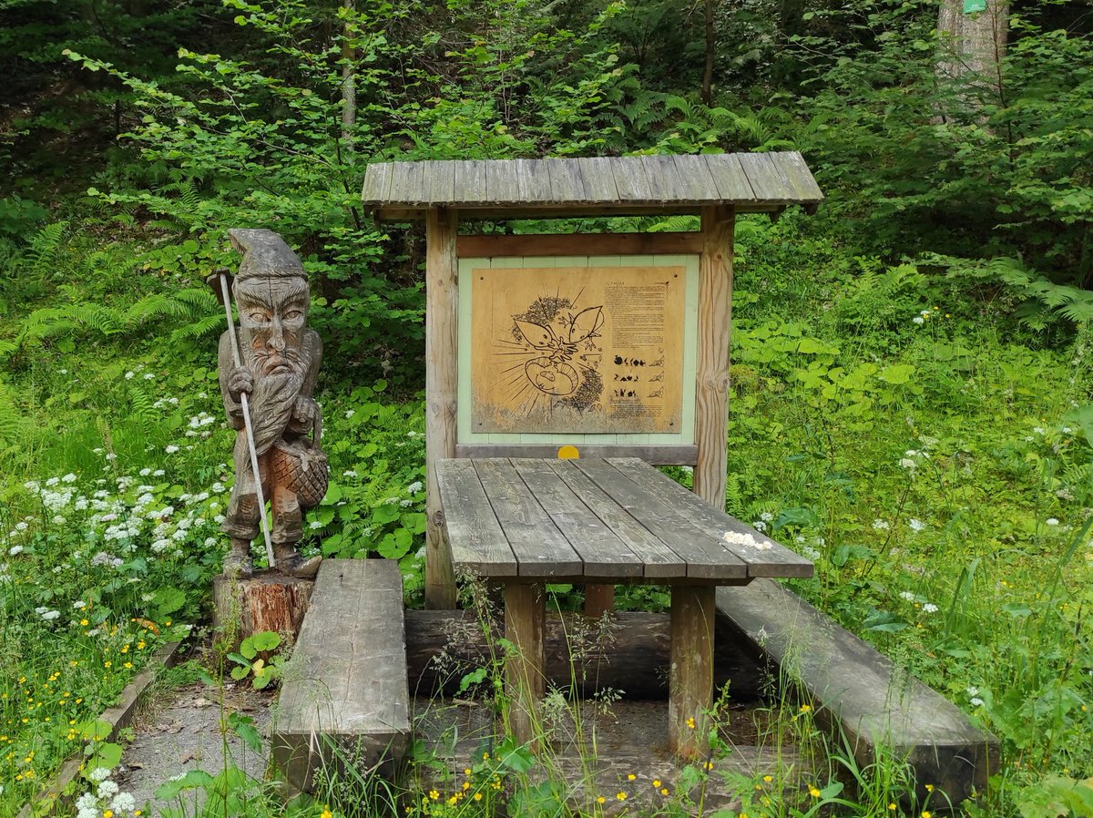 Regione FVG tweet media