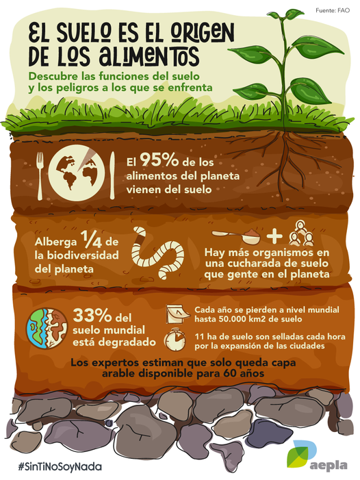 Eco_BioReg's tweet photo. 🧐al dato: El 74% de los suelos españoles está en riesgo de desertificación. https://t.co/5ZpVpKtFzJ🏜️🙀 El compost se utiliza para incrementar los niveles de materia orgánica en el suelo, imprescindibles para los alimentos.🍅🍇
No son residuos, es nuestro futuro. #MaterComposta https://t.co/zwHWrdefoN