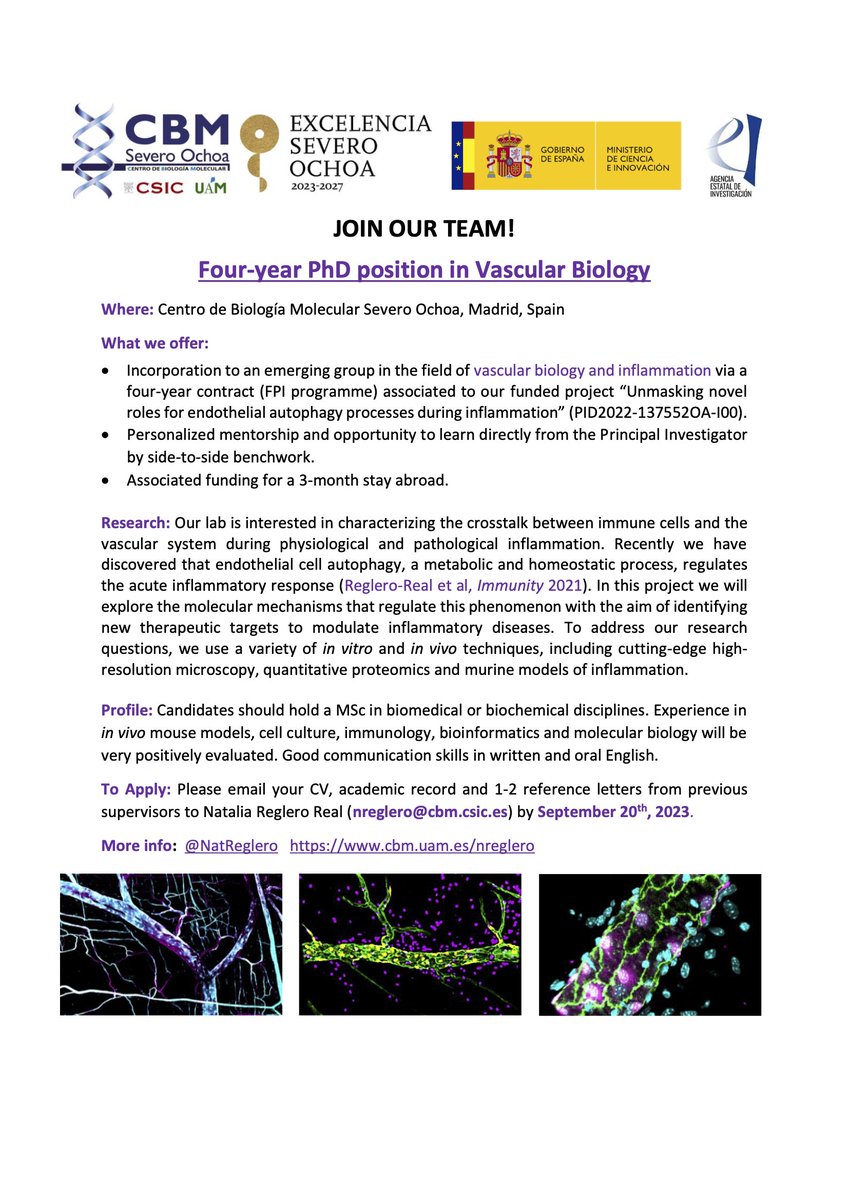 Natalia Reglero Real (@natreglero) on Twitter photo 📢📢 We are recruiting!!
If you would you like to do a PhD in #vascularbiology and perform some cool #imaging then join our team at @CBMSO_CSIC_UAM !
We offer a 4-year predoctoral contract👇👇
Please RT far & wide!🔃
<a href="/CienciaJobs/">Ciencia Jobs</a> <a href="/FPUinvestiga/">FPU investiga</a> <a href="/FPIs_Lucha/">FPIs en lucha</a> 📢📢 We are recruiting!!
If you would you like to do a PhD in #vascularbiology and perform some cool #imaging then join our team at @CBMSO_CSIC_UAM !
We offer a 4-year predoctoral contract👇👇
Please RT far & wide!🔃
<a href="/CienciaJobs/">Ciencia Jobs</a> <a href="/FPUinvestiga/">FPU investiga</a> <a href="/FPIs_Lucha/">FPIs en lucha</a>