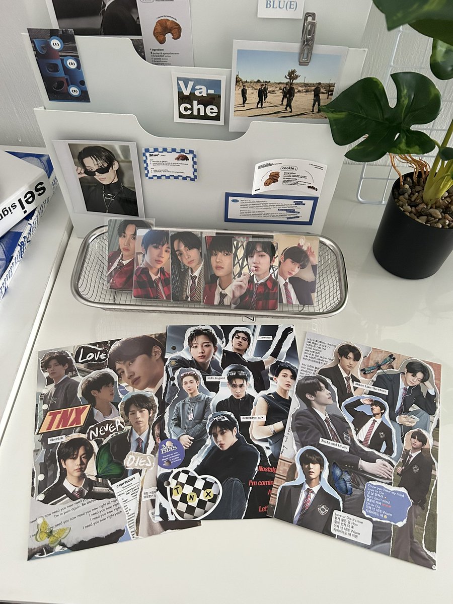 _minimauve's tweet image. Ordered by @fourth_ntt 🥰
Thank you! 

TNX A5 binder covers made from official album pages

#pasarTNX
Boyhood
Love Never Dies