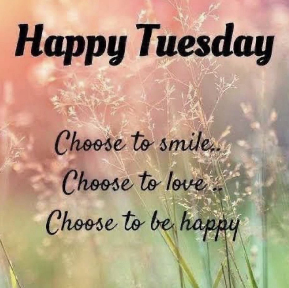 Edita_mt's tweet photo. Good morning 🙏🏼 https://t.co/yphObQS36K