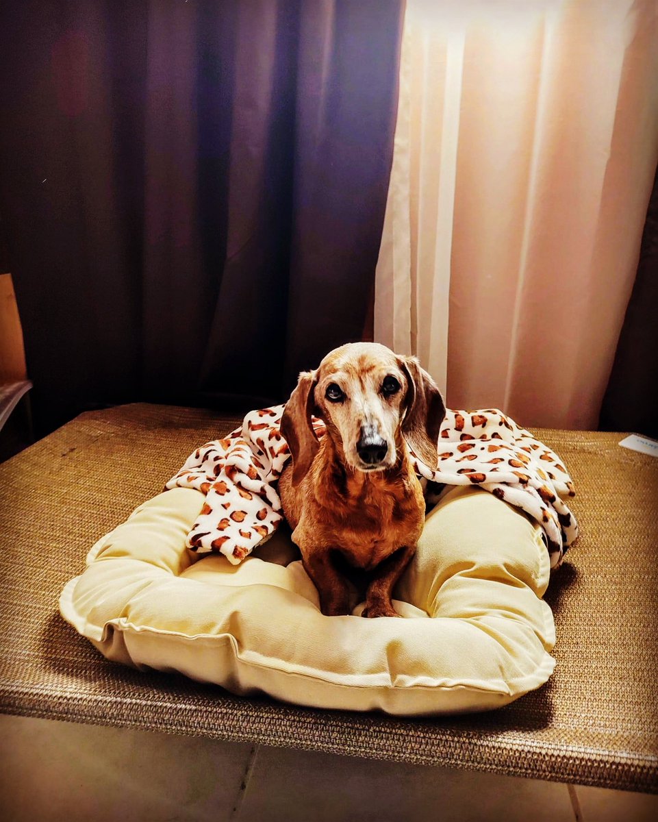 Hace un año que partiste de mi lado, dulce amor de mi vida, vives en mi alma, en mi corazón aunque no es suficiente. Te extraño hoy más que nunca, tu recuerdo me acompaña en cada instante de mis días, como mi propia sombra, en cada parte de mi ser. Por siempre y para siempre…