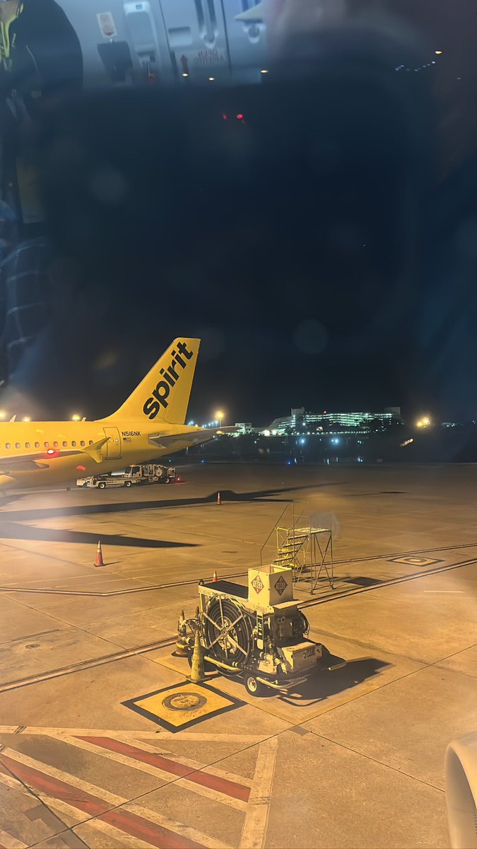 Get Swamped! tweet media