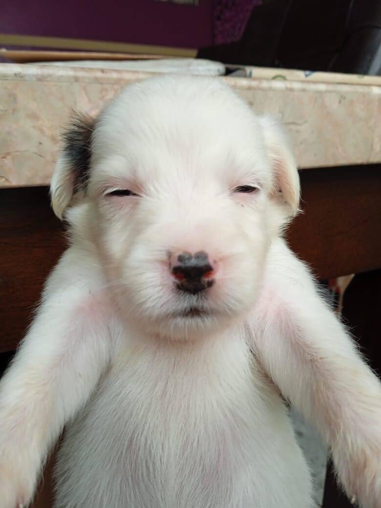 uzituli's tweet photo. oi gente eu voltei depois de um mês de sumiço.  vocês ainda gostam de mim? https://t.co/z1otKooUlC