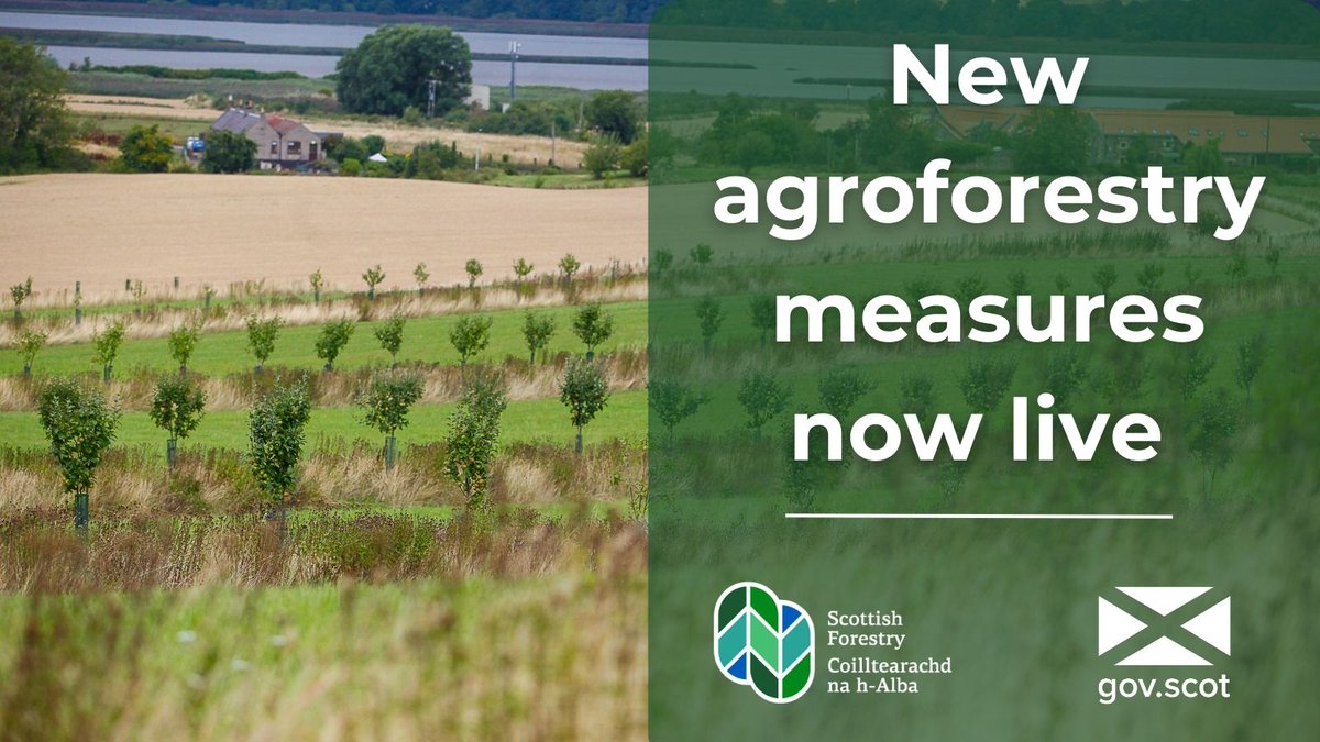 Scottish Forestry (@scotforestry) on Twitter photo The new FGS measures to boost #Agroforestry in Scotland are now online.
If you want to know about integrating trees onto grazing pasture land or on arable land then log onto: ruralpayments.org/topics/all-sch…
Advice also via your local <a href="/scotforestry/">Scottish Forestry</a> offices: forestry.gov.scot/contact The new FGS measures to boost #Agroforestry in Scotland are now online.
If you want to know about integrating trees onto grazing pasture land or on arable land then log onto: ruralpayments.org/topics/all-sch…
Advice also via your local <a href="/scotforestry/">Scottish Forestry</a> offices: forestry.gov.scot/contact