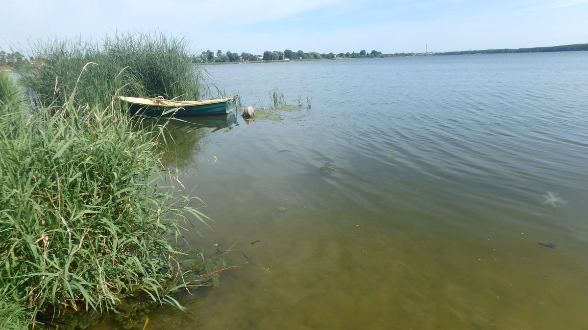 WIOS_Lublin's tweet photo. Inspektorzy @WIOS_Lublin dokonali oględzin Zalewu Zemborzyckiego w Lublinie, połączonych z poborem wód do analiz. Badania wykazały iż parametry utrzymywały się na dobrym poziomie. Stwierdzono zakwit glonów  #chronimysrodowisko https://t.co/sSbG3aNcbz