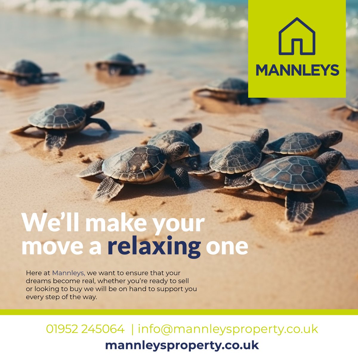 Mannleys Property tweet media