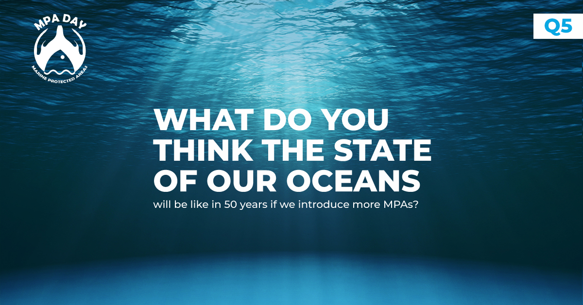 #MPADay Q5 - What do you think the state of our oceans will be like in 50 years if we introduce more #MPAs?

A5 - I believe the oceans would be bursting with life as endangered species once again take their place in our ecosystem. 

#LetsTalkMPAs
