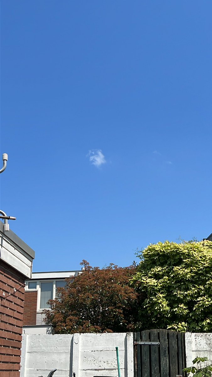 Daar gaat mijn ochtendwandeling. #codegeel #summer #zomer #denbosch <a href="/helgavanleur/">Helga van Leur ☀</a>