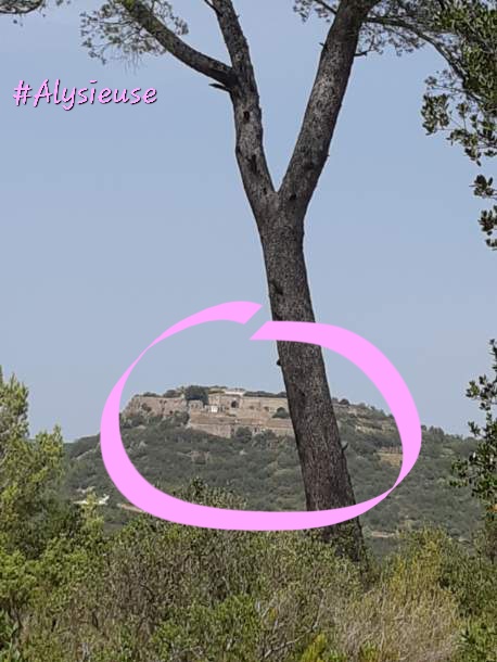 25&egrave;me indice pour : #quiveutbaiseralysieuse  Jolie vue n'est-ce pas ?  Si tu l'a, c'est que tu es toujours<a href="/tag/quiveutbaiseralysieuse"class="tags">#quiveutbaiseralysieuse</a>