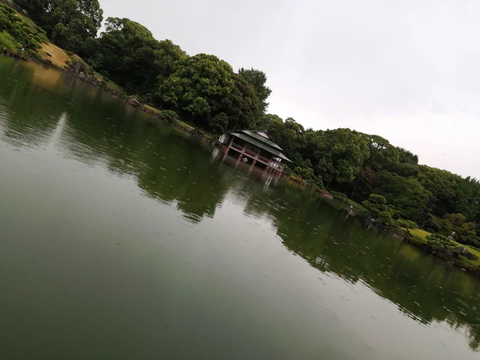 気分転換に清澄庭園に来た。150円、安い亀が来たから写真を撮ろうとしたら、スッポンがカバンを狙っていたデカイ 