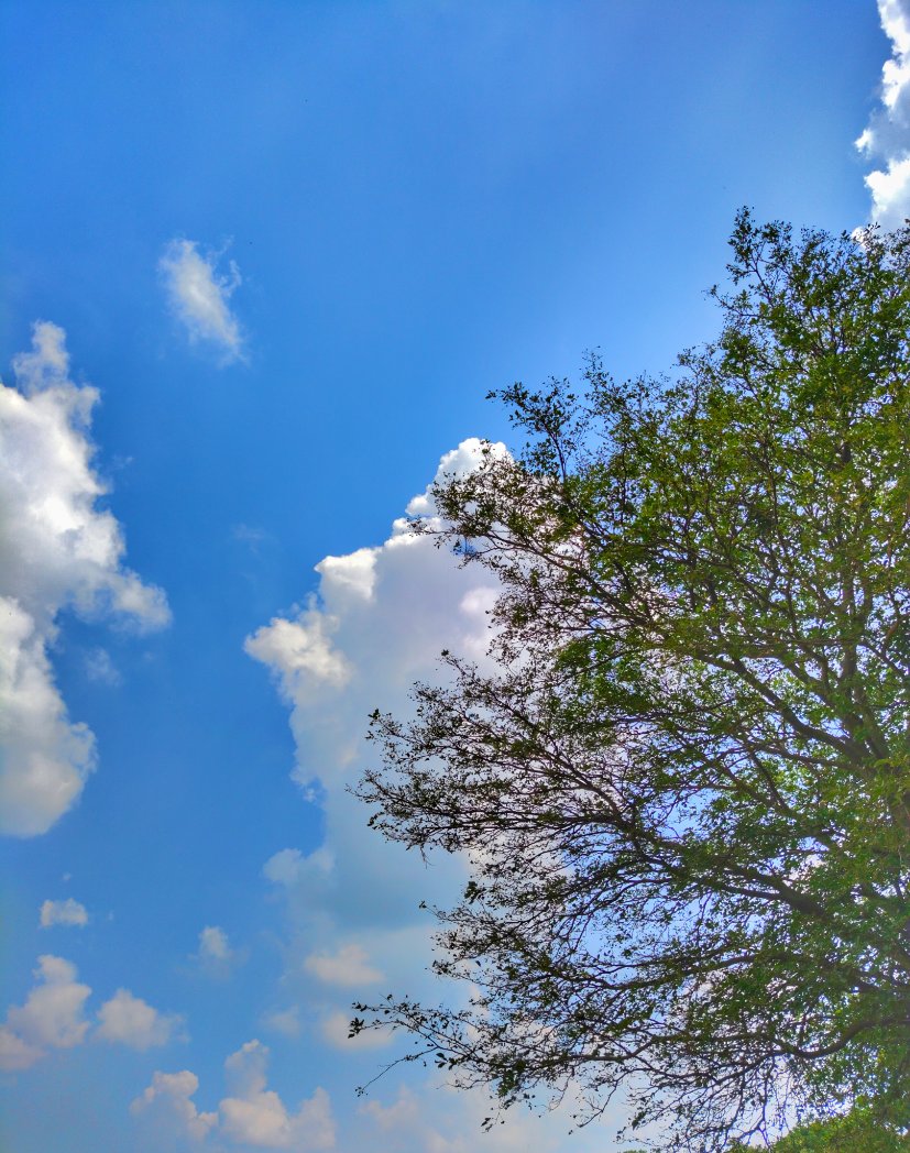 me_s_h_u_b_h's tweet image. Training academy...❤️
#moradbad