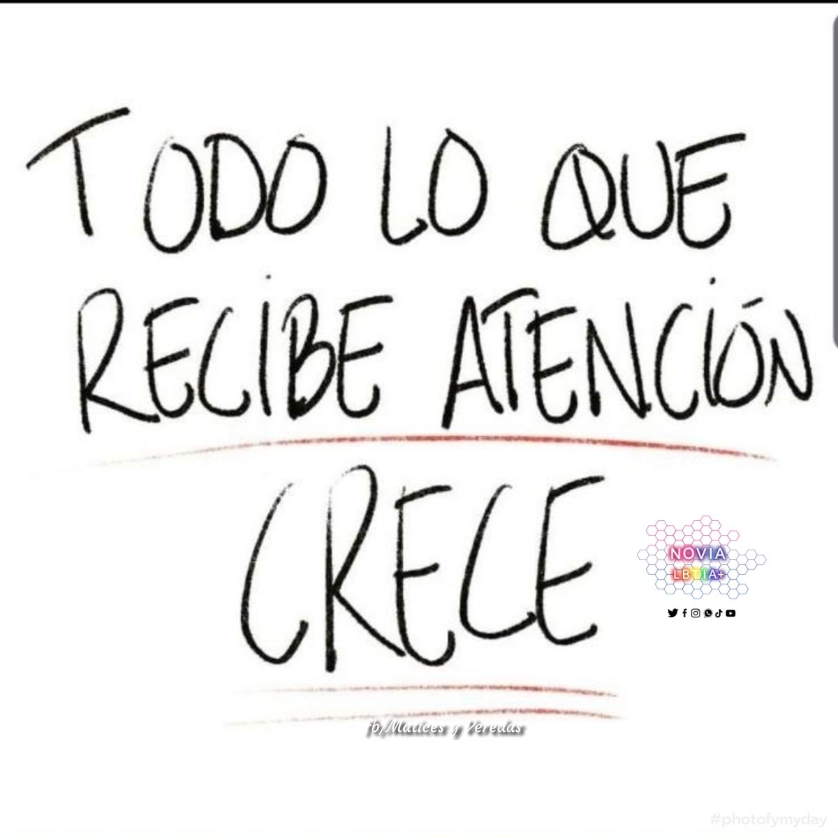 Novia LGBT+ (@novialgbt) on Twitter photo 