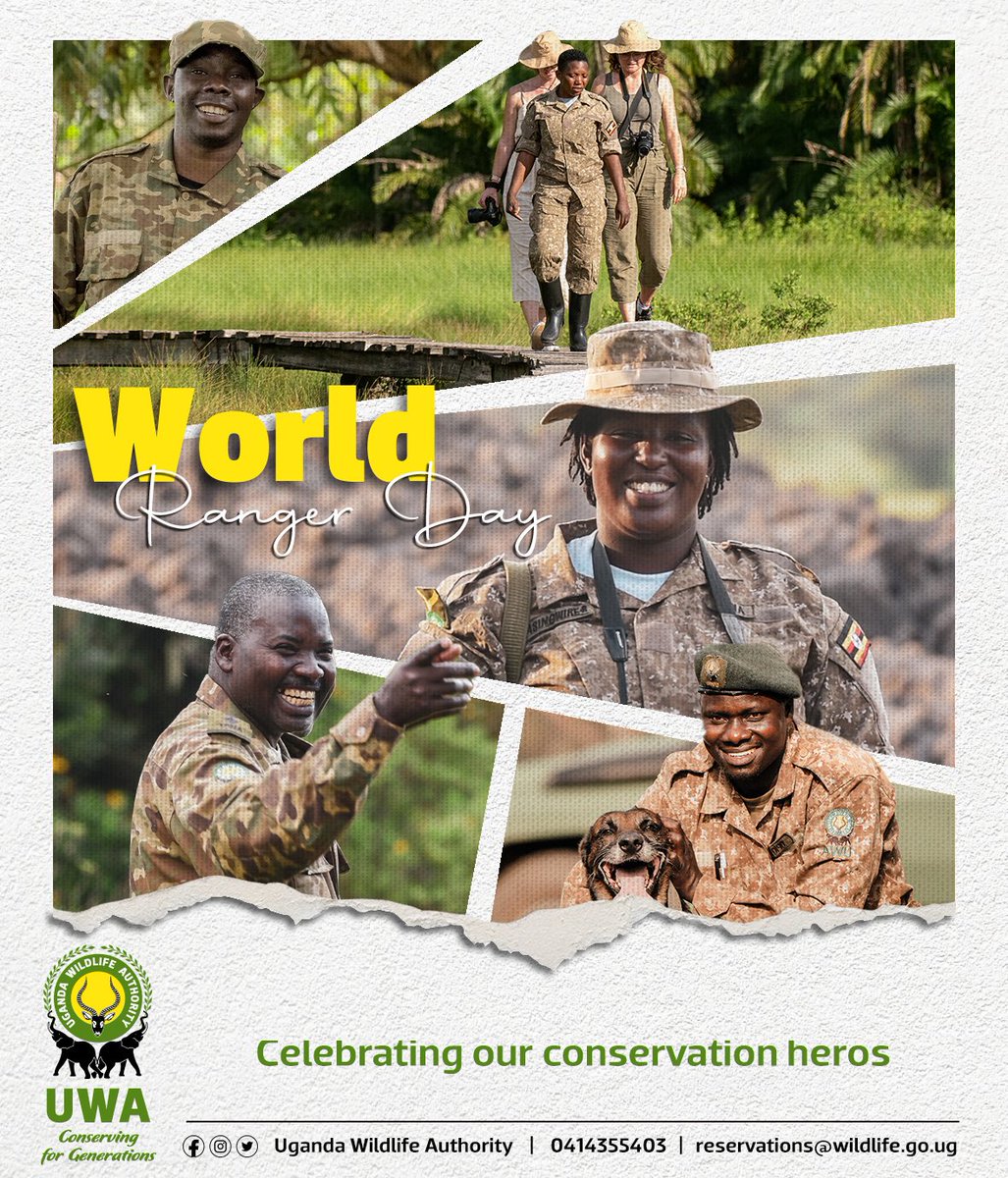 Today we join the rest of the World to celebrate devoted women and men who sacrifice their lives to conserve the wildlife and all endangered species of the wild.
Big up to  all the Rangers in the world.
#RwenzoriTheluji2023
#VisitKasese
@ugwildlife @SafarisUganda @PulseUganda