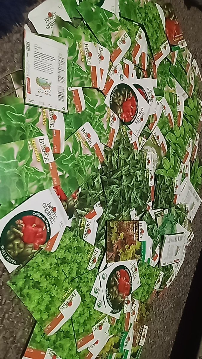 ChalkHuman's tweet photo. been opening up every packet in my $3000 seed collection and putting them into tiny glass bottles I got from dollar tree. great for space saving but I've barely made a dent. I've only gone through 7 of what I'm guessing is 20-30+ types of seeds and I'm already out of bottles https://t.co/tiUVs8Zjh1