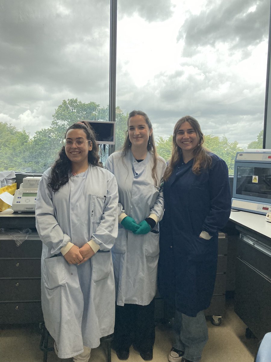 Meet my Spanish #research students <a href="/UniofHerts/">University of Hertfordshire</a>! Full of #excitement, #passion and #love for science! What more could I ask for? 💕 Welcoming new member <a href="/coralcrespoo/">Coraaal</a> and saying goodbye 😢 to <a href="/anama_sci/">Ana Moreno</a> in our #worm 🪱 lab <a href="/UHertsResearch/">Herts Research</a> <a href="/UHPress/">United Hearts Press</a> <a href="/ComunidadCeru/">SRUK/CERU</a> <a href="/gusaneros1/">gusaneros</a>