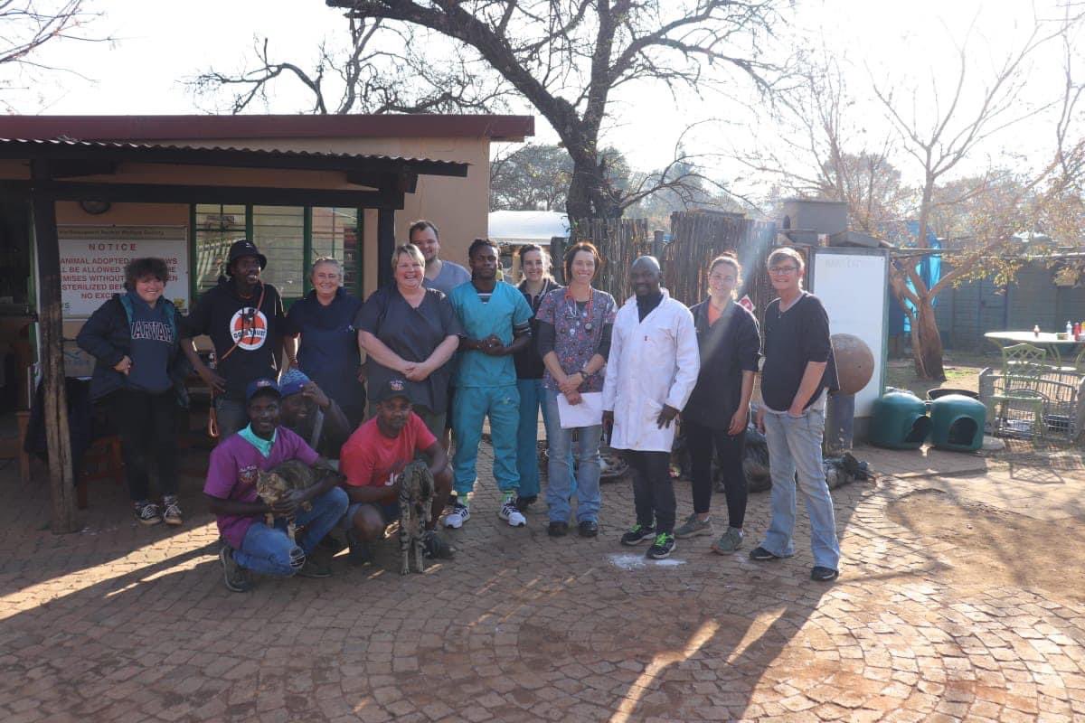TheDogsTrust's tweet photo. 193 dogs sterilised in the month of July!. 

TOGETHER we can be the change you want to see. 

Thank you to everybody that made this happen! Bigger and better for August. 
Petite Paws
Woodrock Animal Rescue
Tales Of Tails 271-812 NPO
Hartbeespoort Animal Welfare Society (HAWS) https://t.co/waYzipVSqt