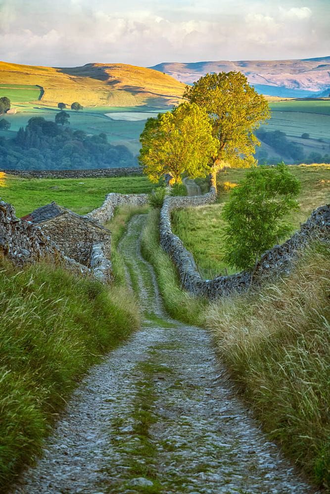 Happy Yorkshire Day!