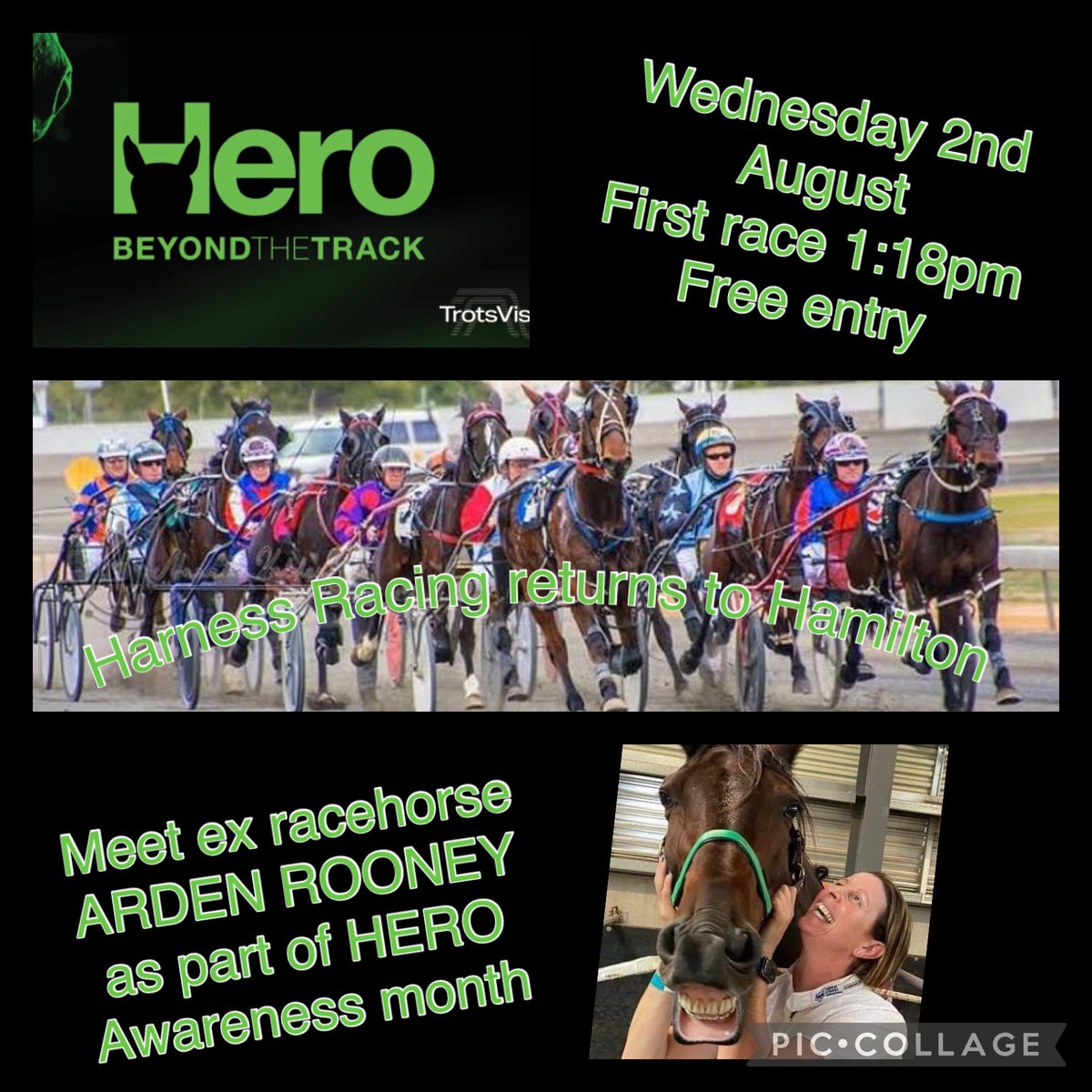 We are back racing tomorrow! 🐎

7 races + qualifying trials!