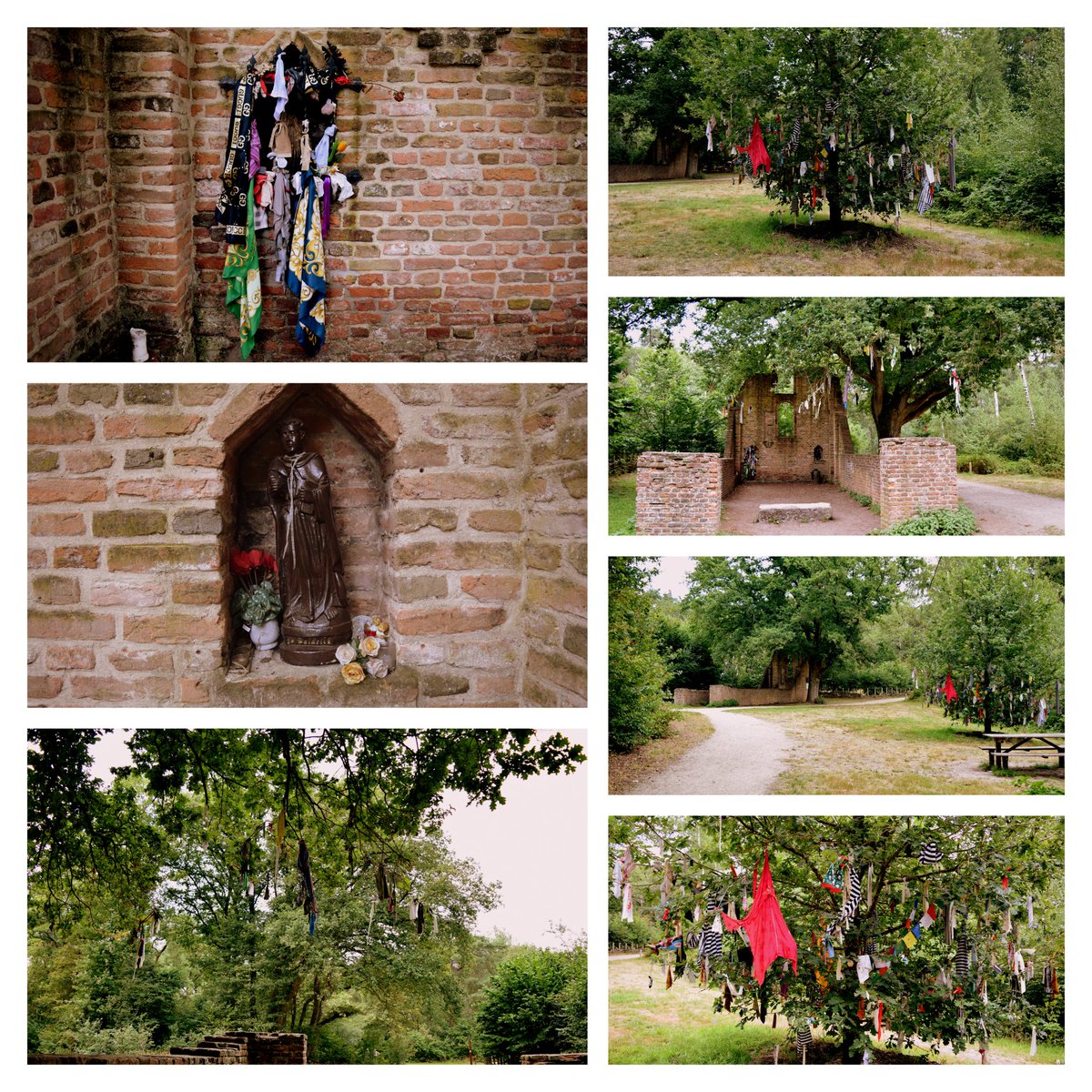 28MaaikeVogel09's tweet photo. #goedemorgen 
Vandaag #1augustus is dag 7 van week 6 van de #fotochallenge #fotozomerweken initiatief van @jolandabrwr 
Het thema/uitdaging van deze week is: #Oplocatie 
Sint walrick en hatertse vennen.  Erg mooi natuurgebied. 
Is er nog een challenge in augustus?
#fijnedinsdag https://t.co/UR36isZlxv