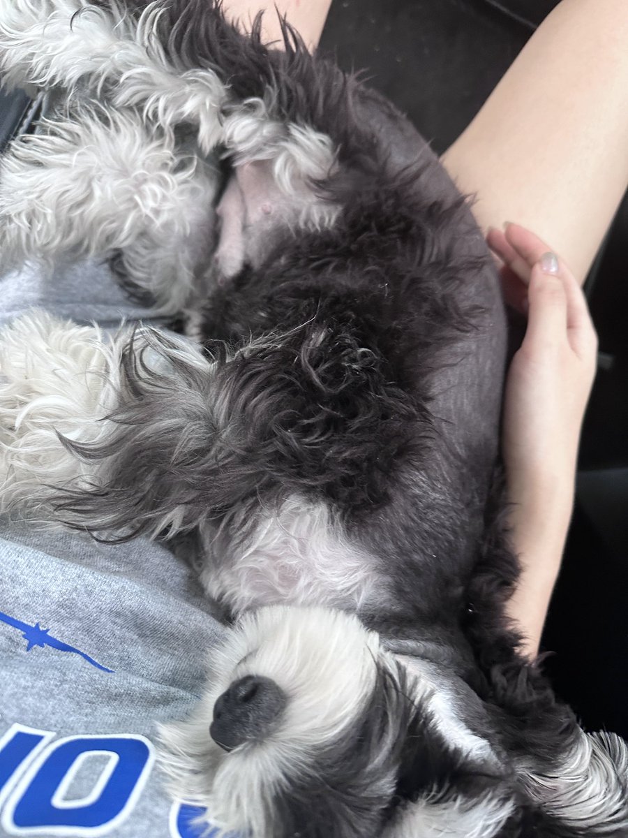 福利姬小奶猫猫分享的黄推图片2 - 网红私拍内容