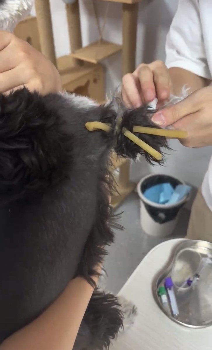 福利姬小奶猫猫分享的黄推图片3 - 网红私拍内容