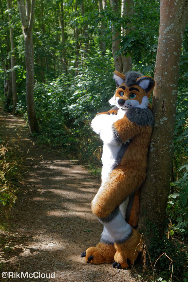 CormackWolf's tweet photo. Woodland toll. One treat to continue.

📷 @RikMcCloud https://t.co/3DYiyvpJjk