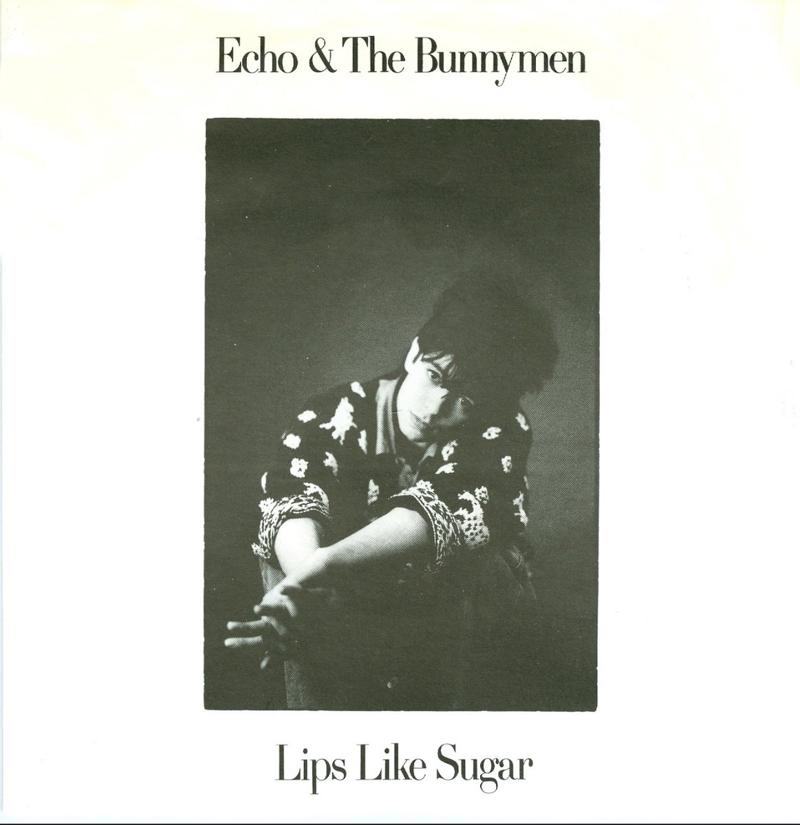 Echo & the Bunnymen tweet media
