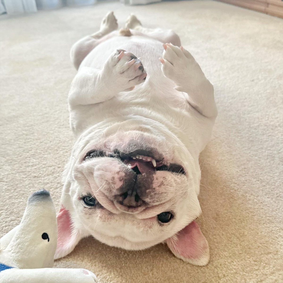 samdeep751's tweet image. Good morning 🌞 #mornin