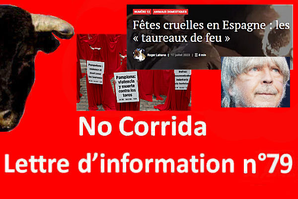 No Corrida tweet media