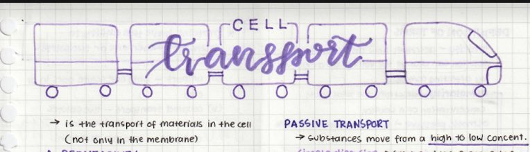 elyschive's tweet photo. hello stem friends !! if ever u need bio notes, avail kayo kay ate @qodiums !! her notes are very informative + organized !! affordable price lang din 🫀🐣 https://t.co/SoNCA9B2fR